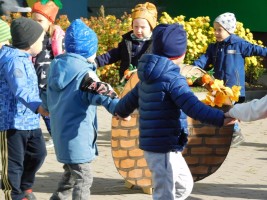 Изображение для новости